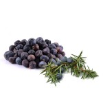 Baies de Genevrier juniperus communis 454gr ( 50% RABAIS )